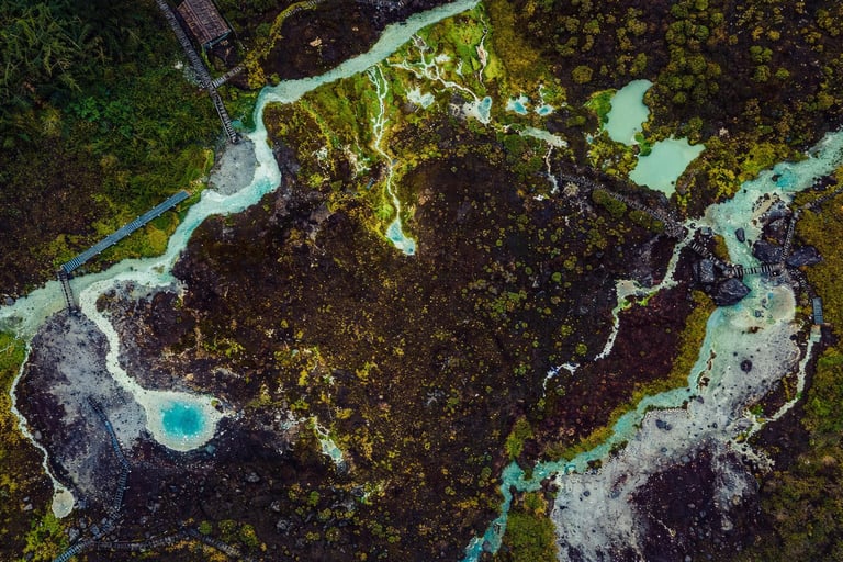 ChatGPT Image Feb 12, 2026, 04_18_37 PM