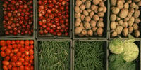 Food supply chain