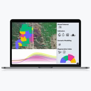 Images resized 600 x 600 px (1)