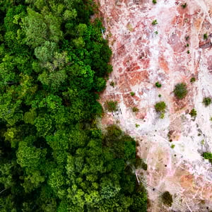 Images resized 600 x 600 px (5)