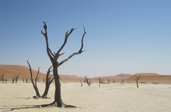 Drought