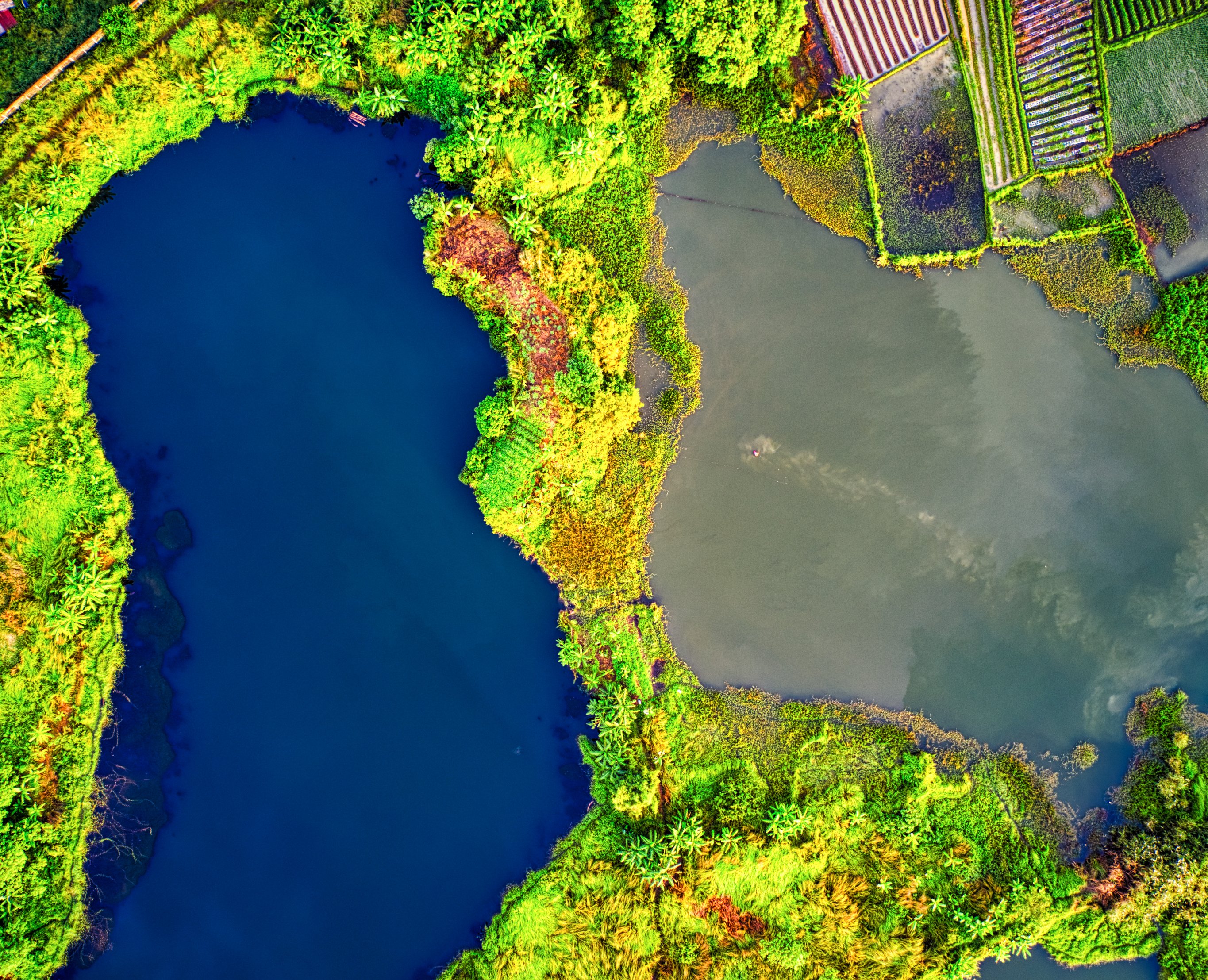 Operational Intelligence 2