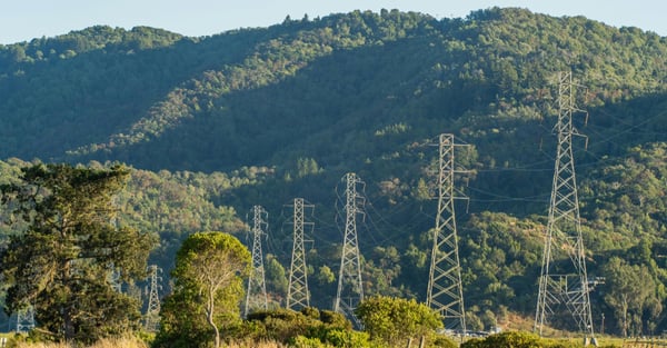 Veget interference pulse page 2