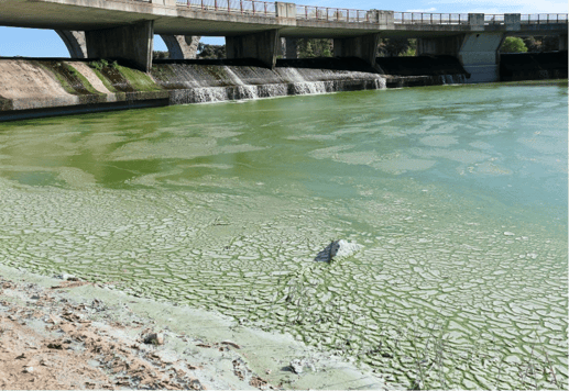 Water Quality image pond