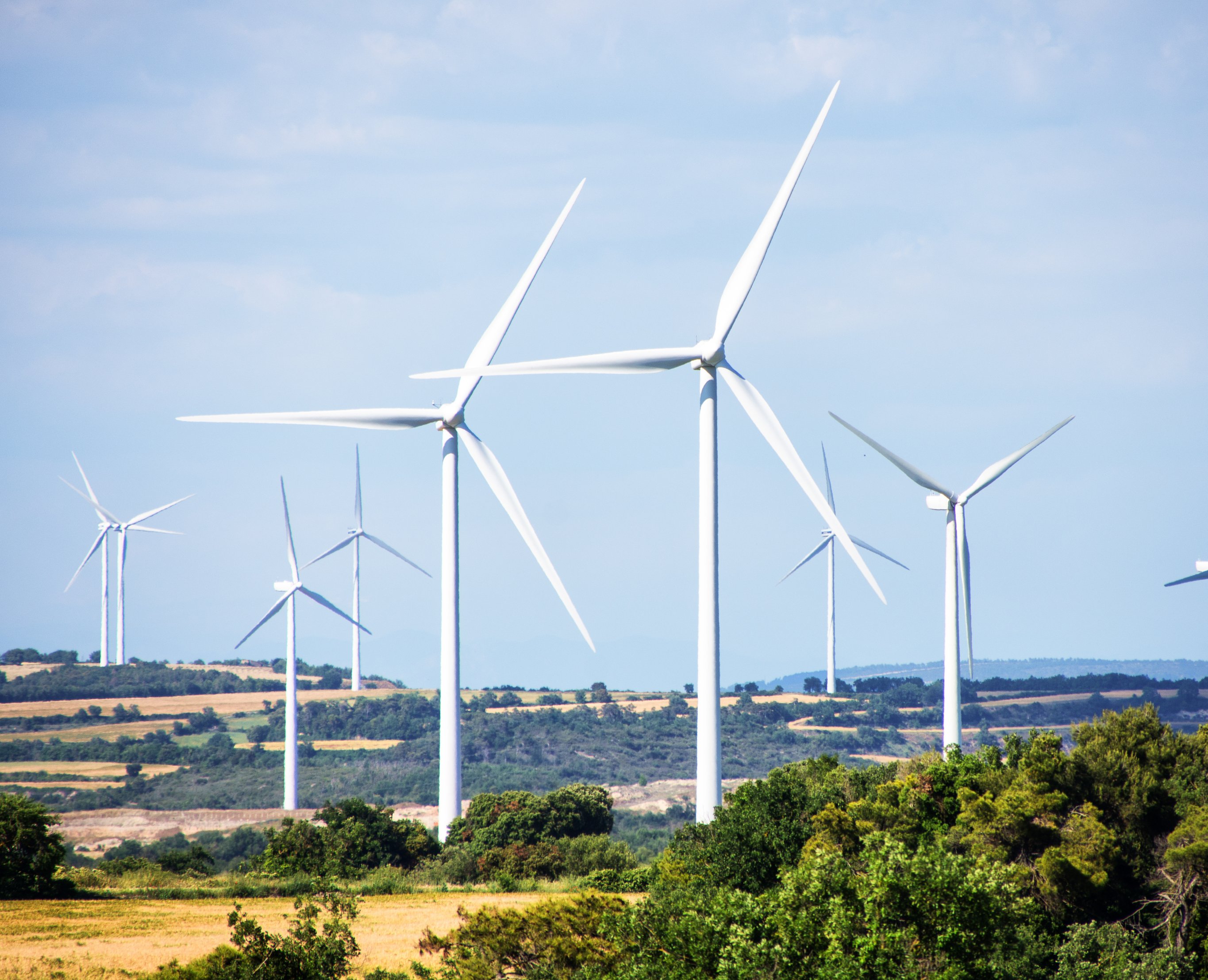 strategic - landscape opportunity