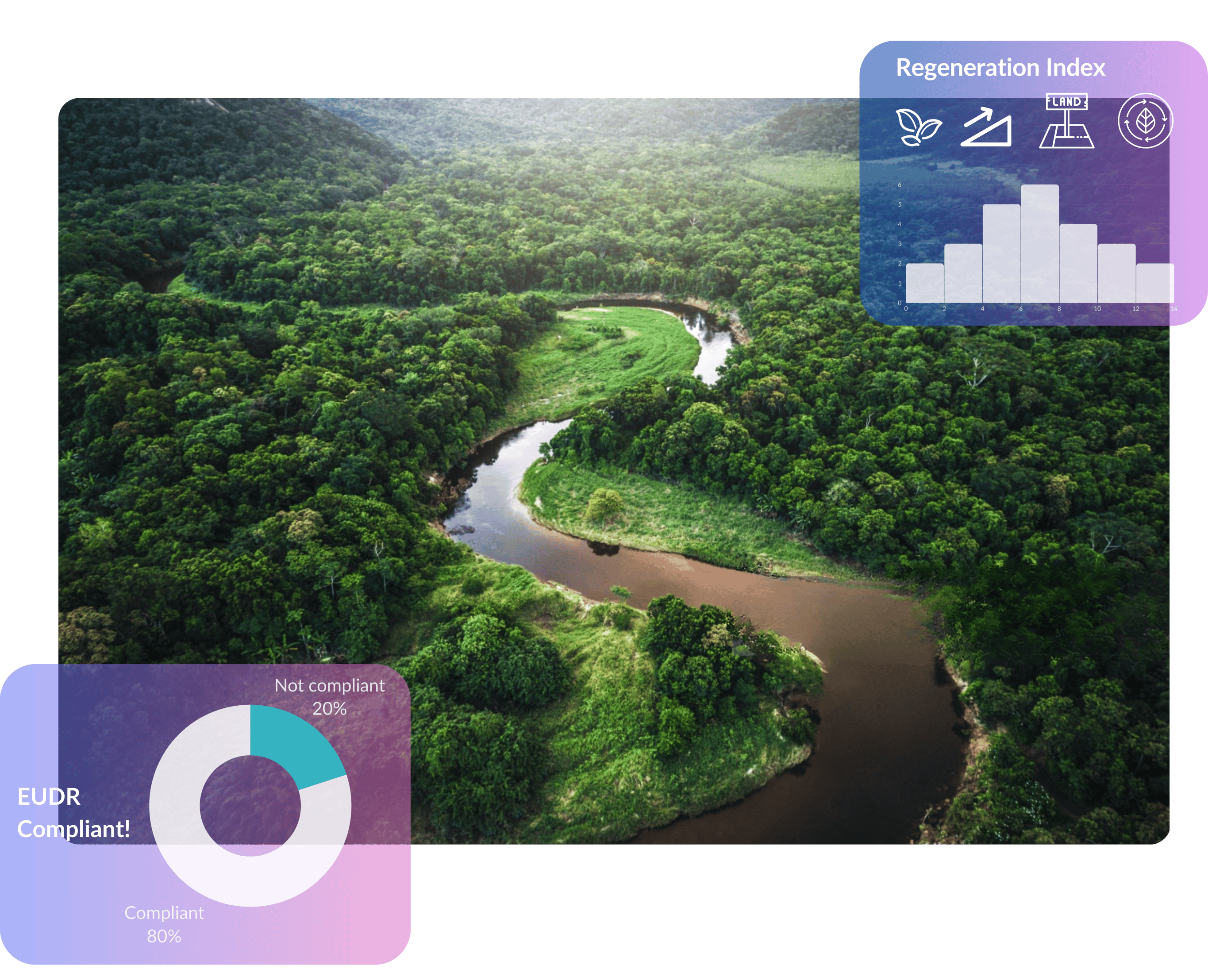 various images (5460 x 4430 px) (2)