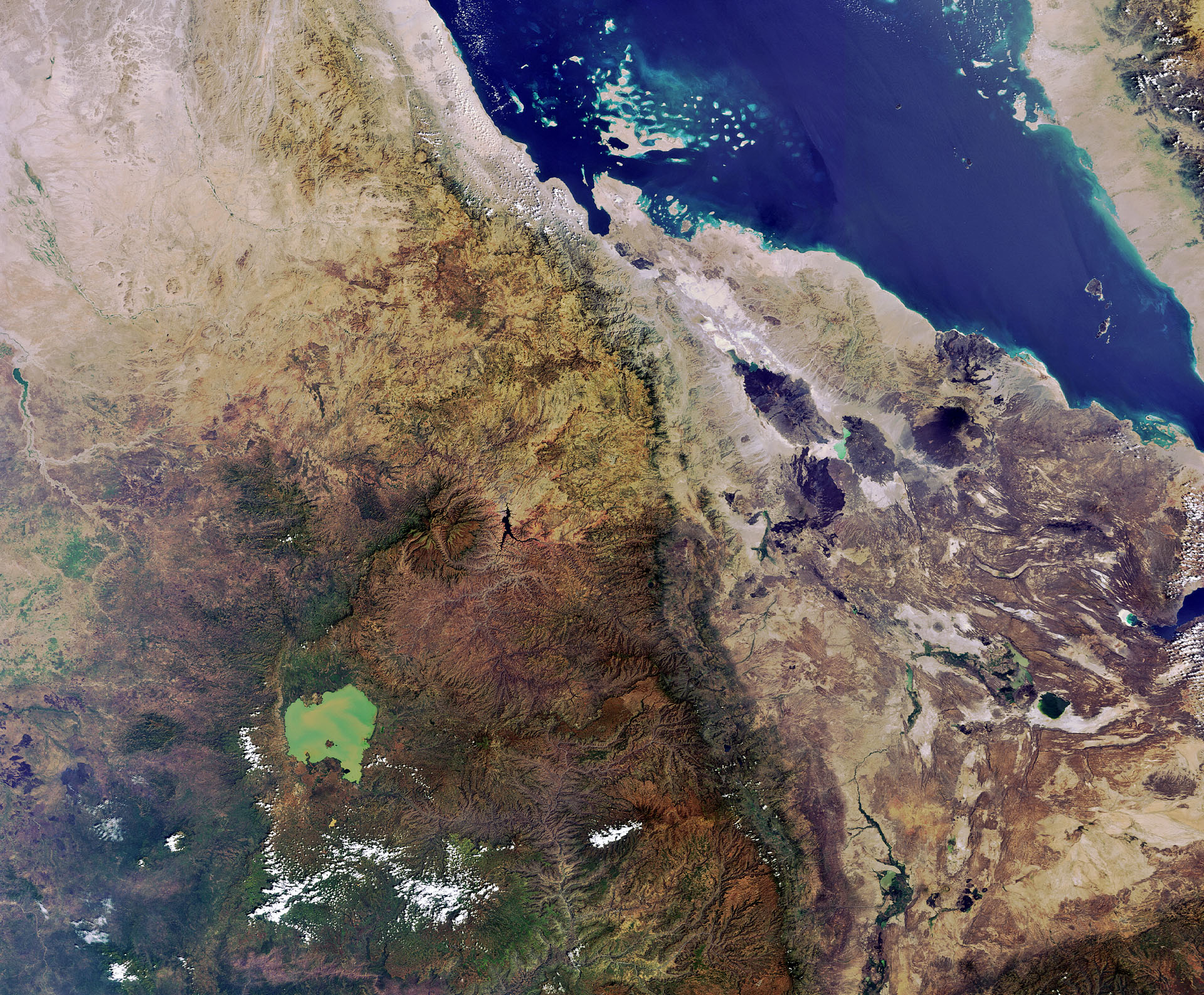 A new evidence-based system to strengthen drought resilience in the Horn of Africa